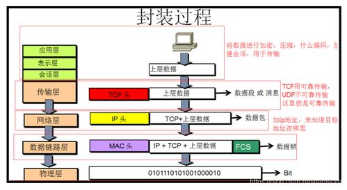 计算机网络原理与网络计算机系统集成